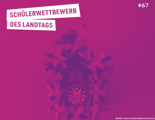 Erfolge beim Schülerwettbewerb des Landtags 