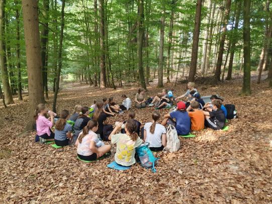 Waldtag der Klasse 6b