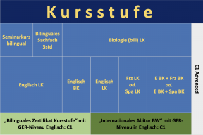 Bili-Zug Kursstufe
